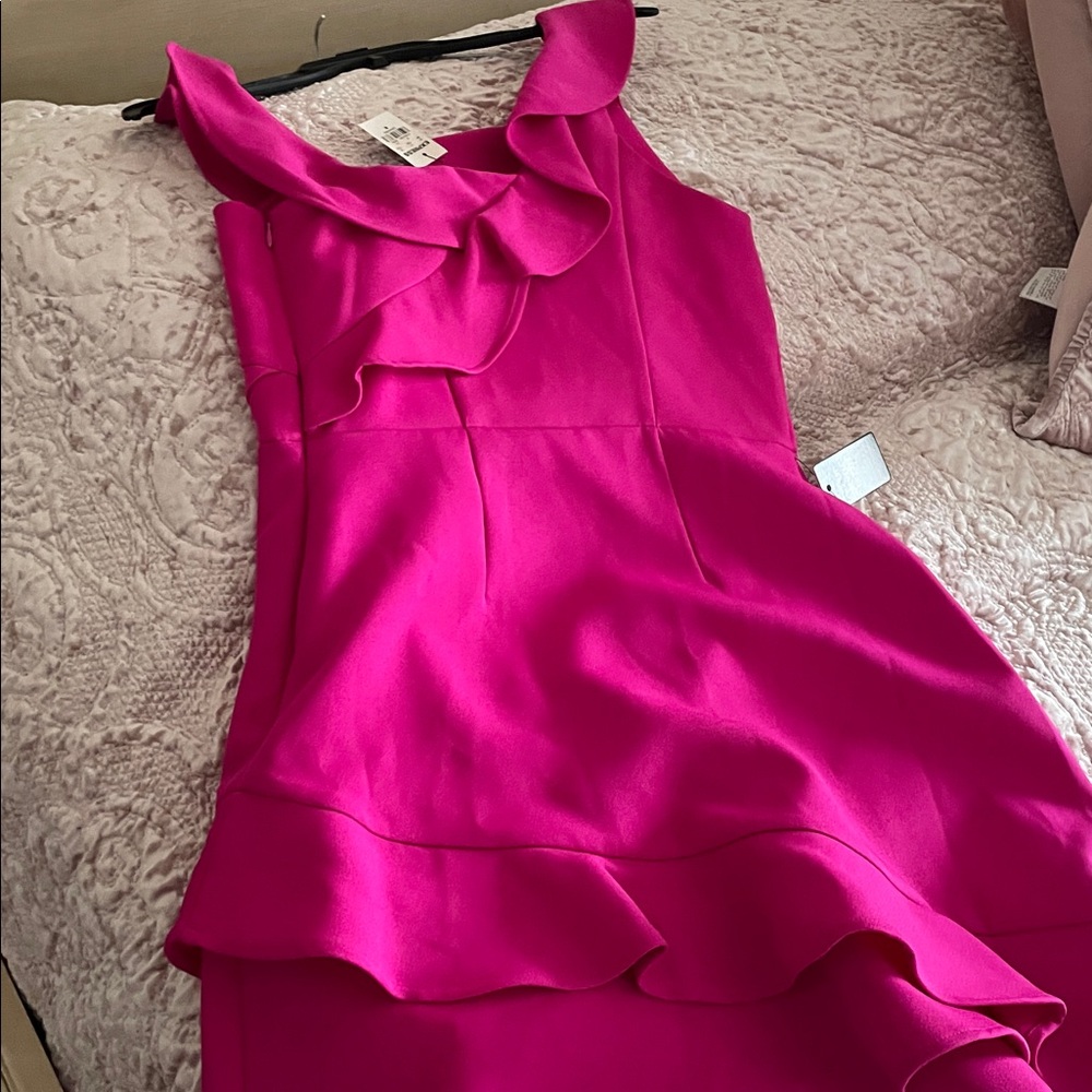 Express Hot Pink Ruffle Mini Dress - Picture 5 of 6